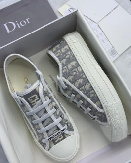 Christian Dior tennies shoes