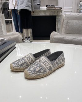 Christian Dior errand shoes